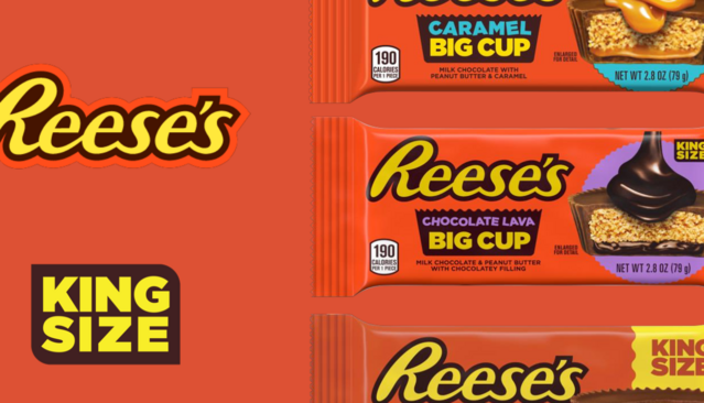 Stalex - Learning Module May